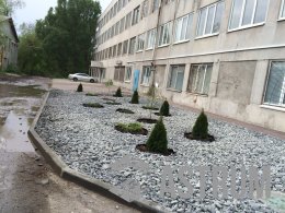 Благоустройство территории