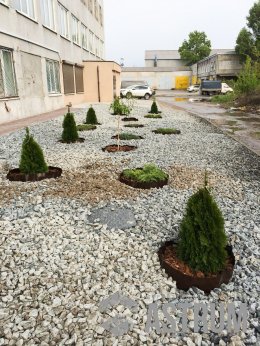 Благоустройство территории