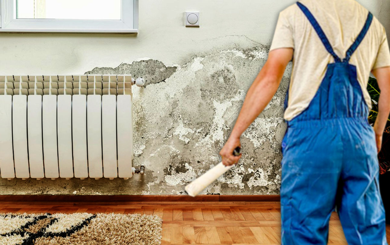 Предотвращение появления грибка: советы от профессионала