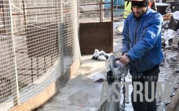 рабочий режет бетон