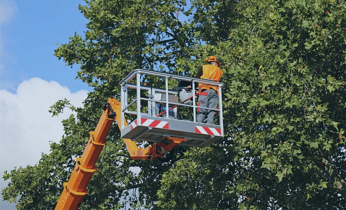 Аренда автовышки в Днепре: Важность технического обслуживания и осмотра оборудования